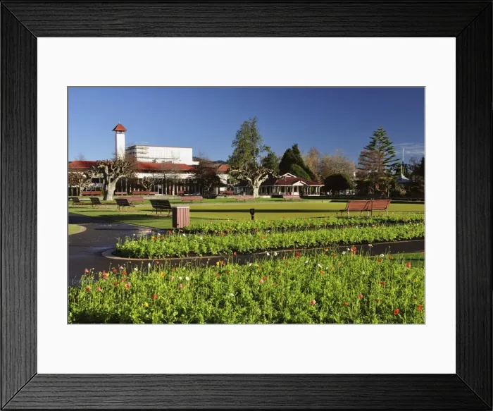 Framed Print : Government Gardens, Rotorua, Bay of Plenty, North Island, New Zealand, Pacific Framed Print : Government Gardens, Rotorua, Bay of Plenty, North Island, New Zealand, Pacific