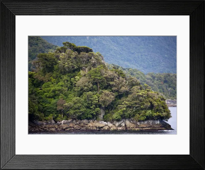 Framed Print : Fjord and forest, Thomson Sound, South Island, New Zealand, Pacific Framed Print : Fjord and forest, Thomson Sound, South Island, New Zealand, Pacific