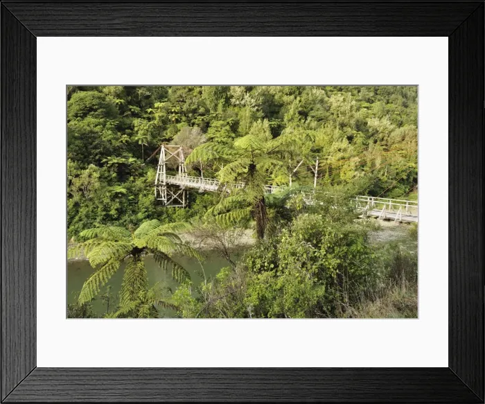 Framed Print : Tauranga historic bridge, Waioeka Gorge Scenic Reserve, Bay of Plenty, North Island Framed Print : Tauranga historic bridge, Waioeka Gorge Scenic Reserve, Bay of Plenty, North Island