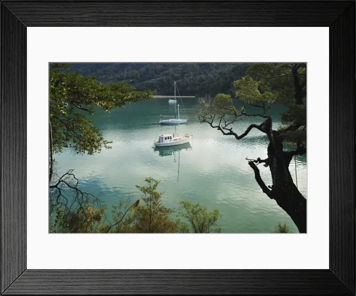 Framed Print : Duncan Bay, Tennyson Inlet, Marlborough Sounds, Marlborough, South Island