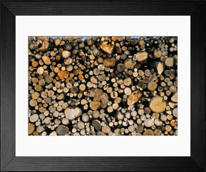 Framed Print : Wood detail, Tuscany, Italy, Europe Framed Print : Wood detail, Tuscany, Italy, Europe