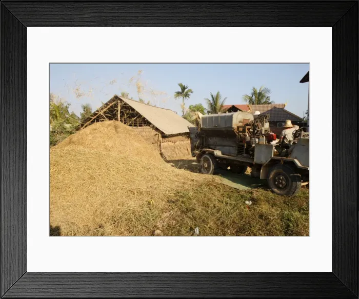 Framed Print : Rice processing, Siem Reap, Cambodia, Indochina, Southeast Asia, Asia Framed Print : Rice processing, Siem Reap, Cambodia, Indochina, Southeast Asia, Asia