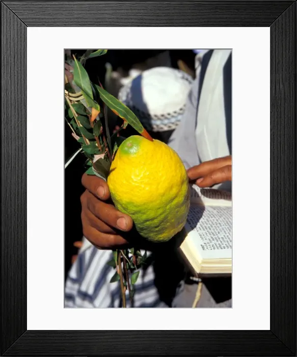 Framed Print : Prayer with the Four Species at the Priestly Blessing Ceremony by the Western Wall at Succot Framed Print : Prayer with the Four Species at the Priestly Blessing Ceremony by the Western Wall at Succot