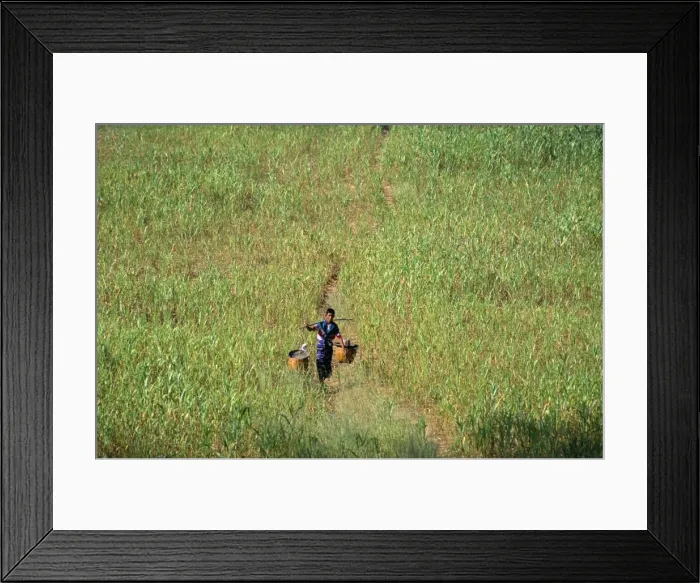 Framed Print : Bagan (Pagan), Mandalay Division, Myanmar (Burma), Asia Framed Print : Bagan (Pagan), Mandalay Division, Myanmar (Burma), Asia