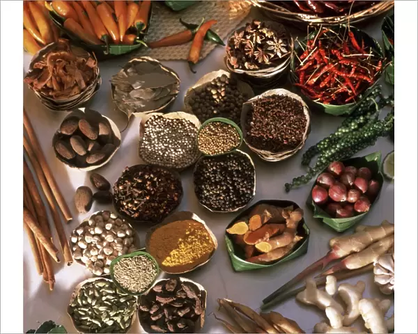 Spices used in Thai, Indian, Indonesian and Malay food, Thailand, Southeast Asia, Asia