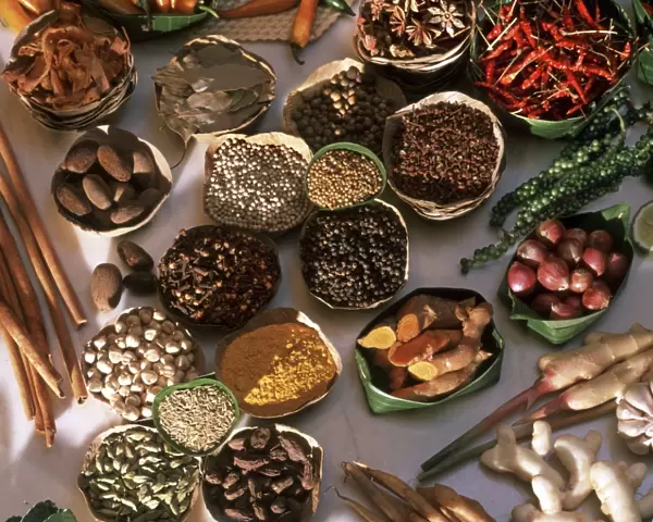 Spices used in Thai, Indian, Indonesian and Malay food, Thailand, Southeast Asia, Asia