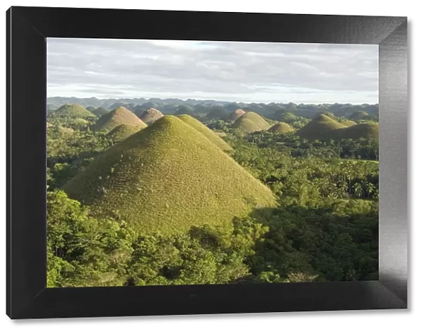 Chocolate Hills, conical hills in tropical limestone karst, Carmen, Bohol