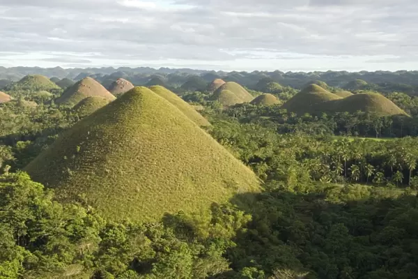 Chocolate Hills, conical hills in tropical limestone karst, Carmen, Bohol