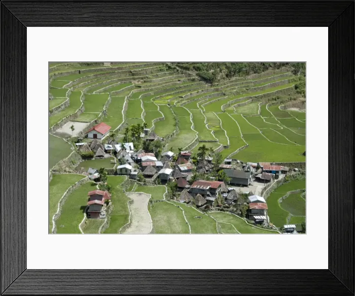 Framed Print : Stone-walled rice terraces of Ifugao culture at Batad village, part of Banaue area Framed Print : Stone-walled rice terraces of Ifugao culture at Batad village, part of Banaue area