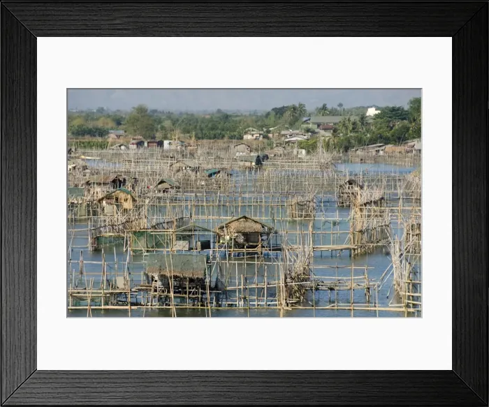 Framed Print : Fish pens in channel through wetlands at south end of Lingayen Gulf, near Dagupan Framed Print : Fish pens in channel through wetlands at south end of Lingayen Gulf, near Dagupan