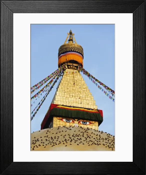 Framed Print : Pigeons and prayer flags on Boudha Stupa (Chorten Chempo), Boudhanath, Kathmandu Framed Print : Pigeons and prayer flags on Boudha Stupa (Chorten Chempo), Boudhanath, Kathmandu