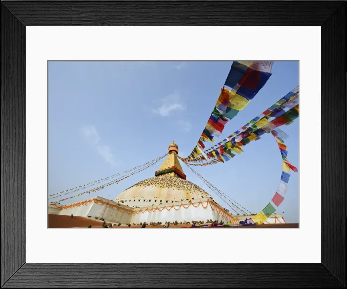 Framed Print : Pigeons and prayer flags on Boudha Stupa (Chorten Chempo), Boudhanath, Kathmandu Framed Print : Pigeons and prayer flags on Boudha Stupa (Chorten Chempo), Boudhanath, Kathmandu