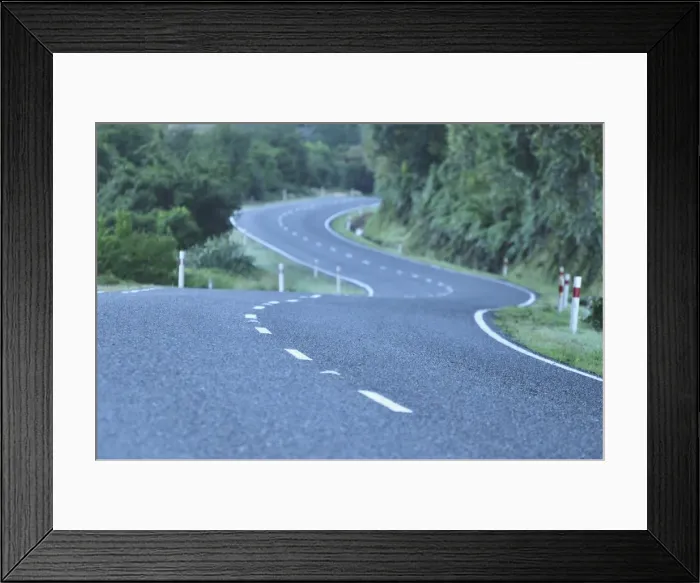 Framed Print : Hst Highway and rainforest, West Coast, South Island, New Zealand, Pacific Framed Print : Hst Highway and rainforest, West Coast, South Island, New Zealand, Pacific