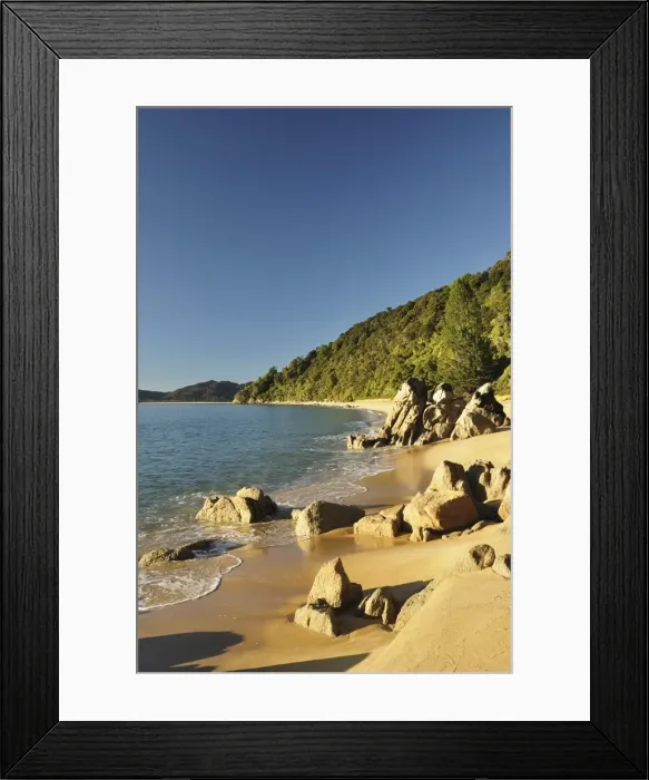 Framed Print : Goat Bay, Abel Tasman National Park, Tasman, South Island, New Zealand, Pacific