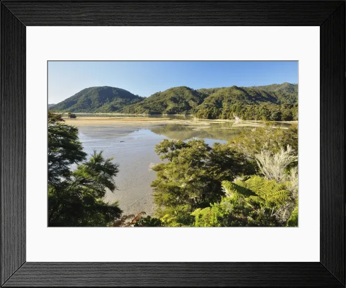 Framed Print : Awaroa Inlet, Abel Tasman National Park, Tasman, South Island, New Zealand, Pacific Framed Print : Awaroa Inlet, Abel Tasman National Park, Tasman, South Island, New Zealand, Pacific