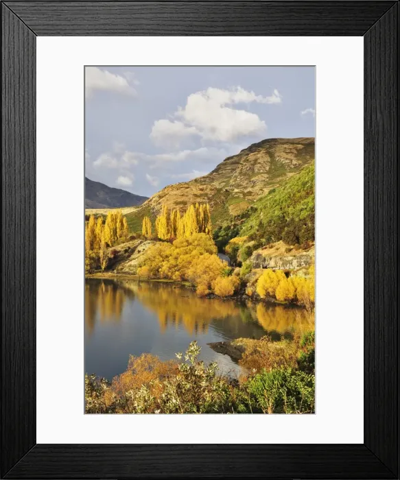 Framed Print : Glendhu Bay, Lake Wanaka, Otago, South Island, New Zealand, Pacific Framed Print : Glendhu Bay, Lake Wanaka, Otago, South Island, New Zealand, Pacific