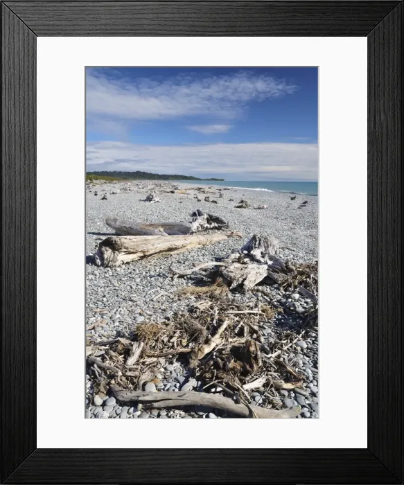 Framed Print : Driftwood, Gillespies Beach, Westland Tai Poutini National Park, UNESCO World Heritage Site Framed Print : Driftwood, Gillespies Beach, Westland Tai Poutini National Park, UNESCO World Heritage Site