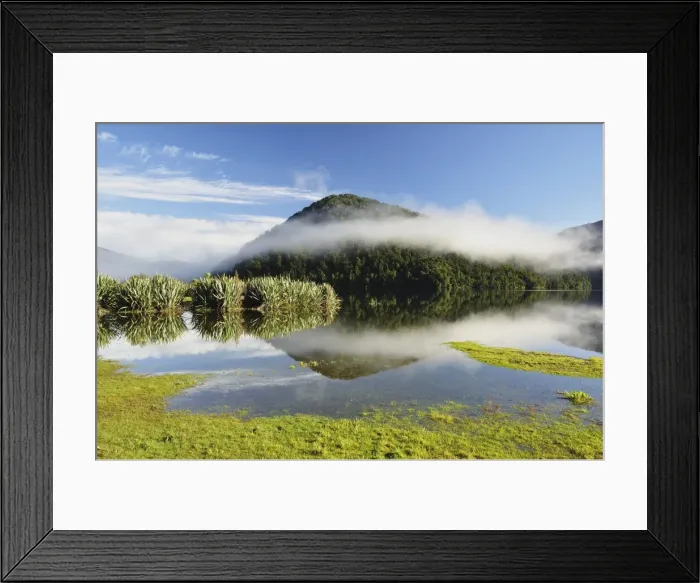 Framed Print : Lake Paringa, West Coast, South Island, New Zealand, Pacific Framed Print : Lake Paringa, West Coast, South Island, New Zealand, Pacific