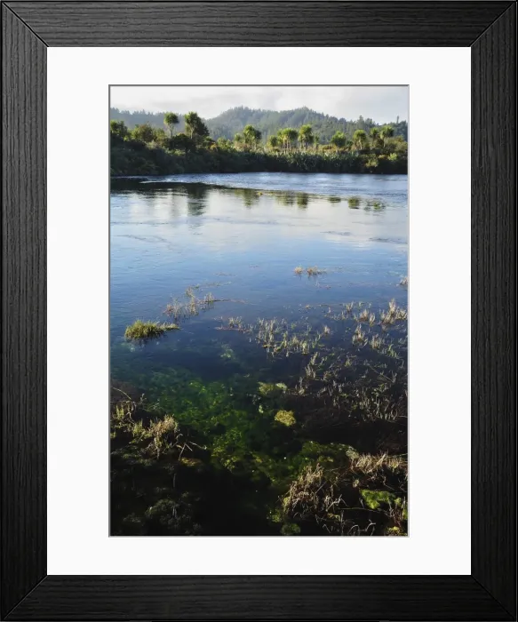 Framed Print : Te Waikoropupu (Pu Pu) Springs, Golden Bay, Tasman, South Island, New Zealand, Pacific Framed Print : Te Waikoropupu (Pu Pu) Springs, Golden Bay, Tasman, South Island, New Zealand, Pacific