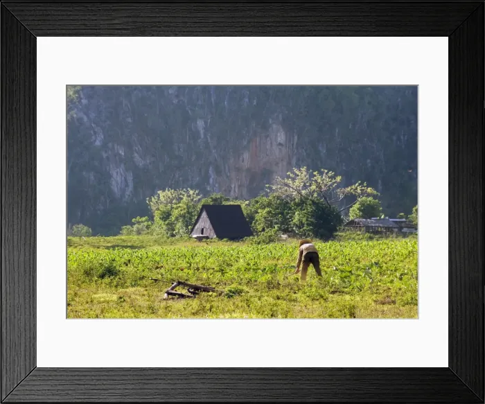 Framed Print : A farmer cultivating his field, Los Aquaticos, UNESCO World Heritage Site Framed Print : A farmer cultivating his field, Los Aquaticos, UNESCO World Heritage Site