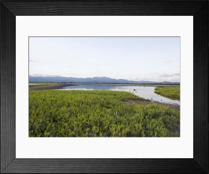 Framed Print : Mangrove and mountains near Trinidad, Cuba, West Indies, Caribbean, Central America Framed Print : Mangrove and mountains near Trinidad, Cuba, West Indies, Caribbean, Central America