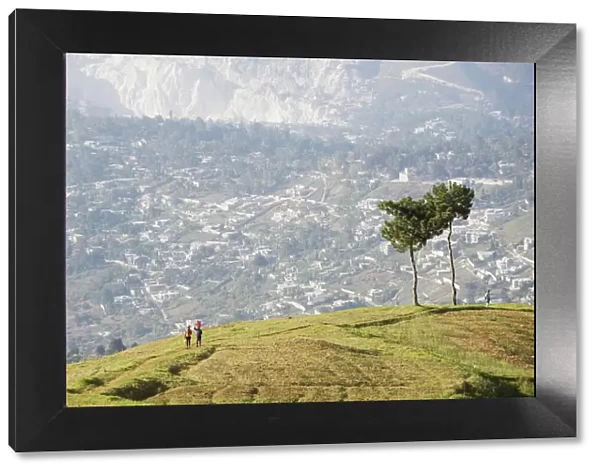 Kenscoff Mountains near Port au Prince, Haiti, West Indies, Caribbean, Central America