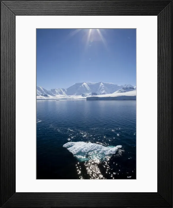 Framed Print : Glacier Bay, Port Lockroy, Antarctic Peninsula, Antarctica, Polar Regions Framed Print : Glacier Bay, Port Lockroy, Antarctic Peninsula, Antarctica, Polar Regions