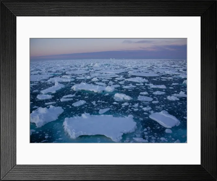 Framed Print : Pack ice at midnight, Southern Ocean, Antarctic, Polar Regions Framed Print : Pack ice at midnight, Southern Ocean, Antarctic, Polar Regions