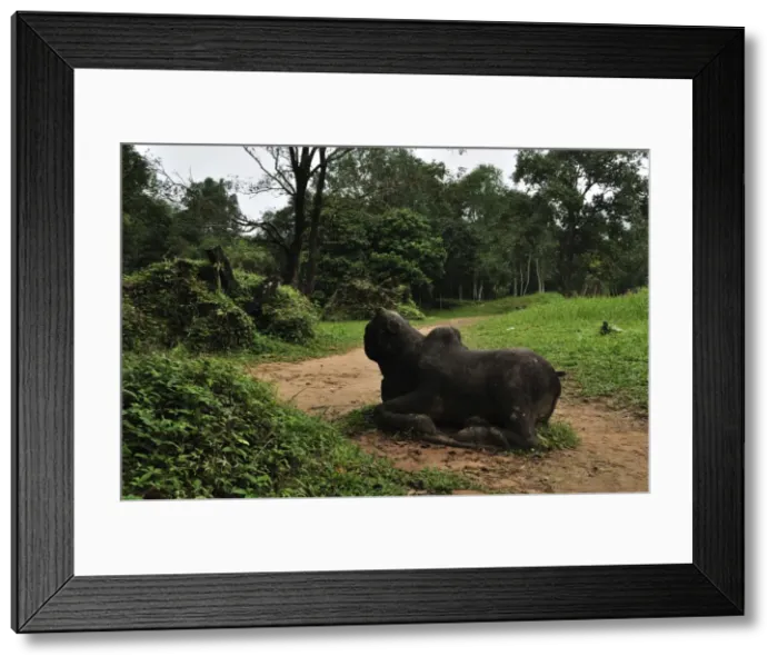 Framed Print : Ruins of the ancient Cham city of My Son, UNESCO World Heritage Site, Vietnam Framed Print : Ruins of the ancient Cham city of My Son, UNESCO World Heritage Site, Vietnam