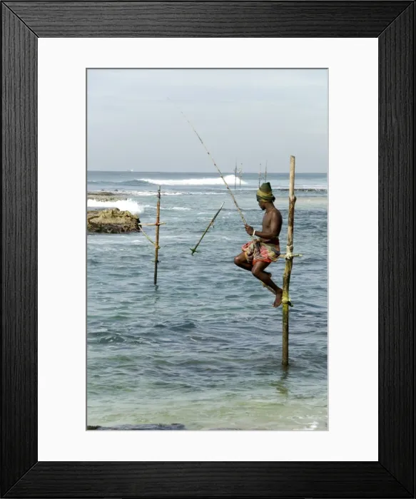 Framed Print : Traditional stilt fisherman, Koggala, near Weligama, south coast of Sri Lanka, Asia