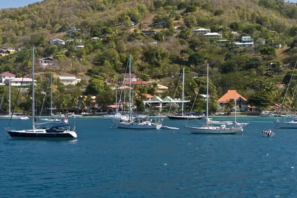 Port Elizabeth harbour, Bequia, St. Vincent and The Grenadines, Windward Islands