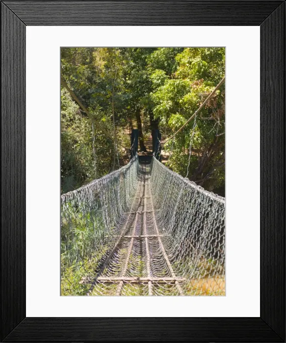Framed Print : Footbridge in the Ankarafantsika National Park, Madagascar, Africa Framed Print : Footbridge in the Ankarafantsika National Park, Madagascar, Africa