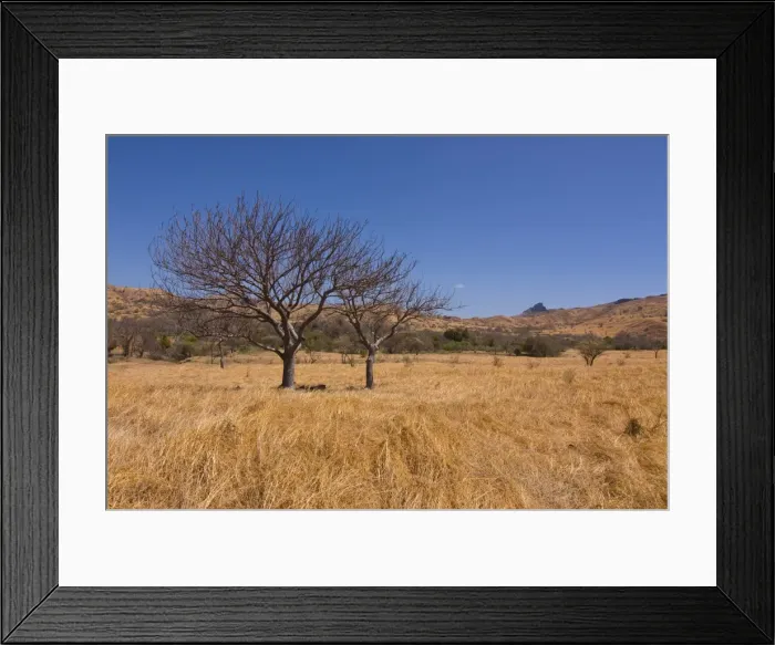 Framed Print : The monolith called Windsor castle near Diego Suarez (Antsiranana), Madagascar, Africa Framed Print : The monolith called Windsor castle near Diego Suarez (Antsiranana), Madagascar, Africa
