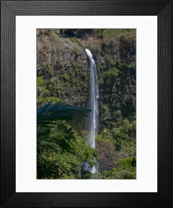 Framed Print : Montagne d Ambre, Madagascar, Africa