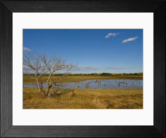 Framed Print : People fishing in a shallow lake near Diego Suarez (Antsiranana), Madagascar, Africa Framed Print : People fishing in a shallow lake near Diego Suarez (Antsiranana), Madagascar, Africa