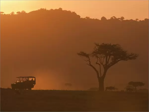 Masai Mara, Kenya, East Africa, Africa