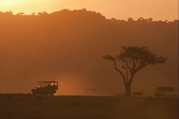 Masai Mara, Kenya, East Africa, Africa