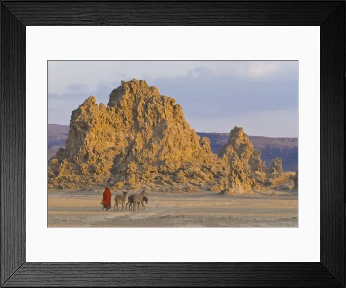 Framed Print : Local Afar woman with her donkeys on her way home, Lac Abbe (Lake Abhe Bad) with its chimneys Framed Print : Local Afar woman with her donkeys on her way home, Lac Abbe (Lake Abhe Bad) with its chimneys