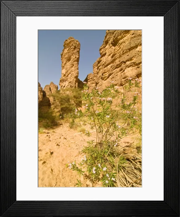 Framed Print : Essendilene Gorge, near Djanet, Southern Algeria, North Africa, Africa Framed Print : Essendilene Gorge, near Djanet, Southern Algeria, North Africa, Africa