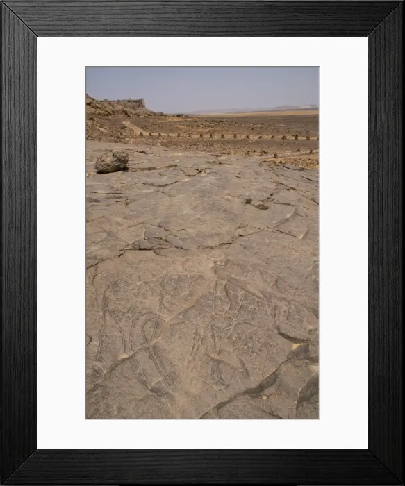 Framed Print : Rock carving of a cow, Tin Taghirt, Tassili n Ajjer, Algeria, North Africa, Africa Framed Print : Rock carving of a cow, Tin Taghirt, Tassili n Ajjer, Algeria, North Africa, Africa