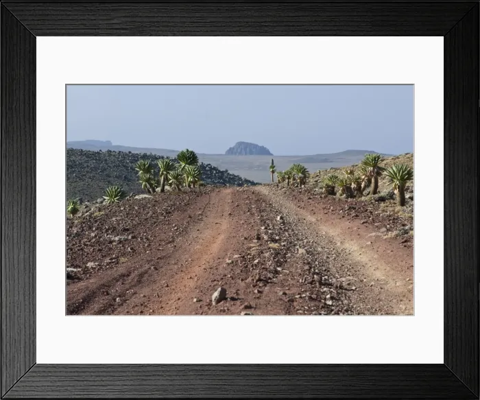 Framed Print : View from Tulu Deemtu, second highest mountain in Ethiopia, Bale Mountains Framed Print : View from Tulu Deemtu, second highest mountain in Ethiopia, Bale Mountains