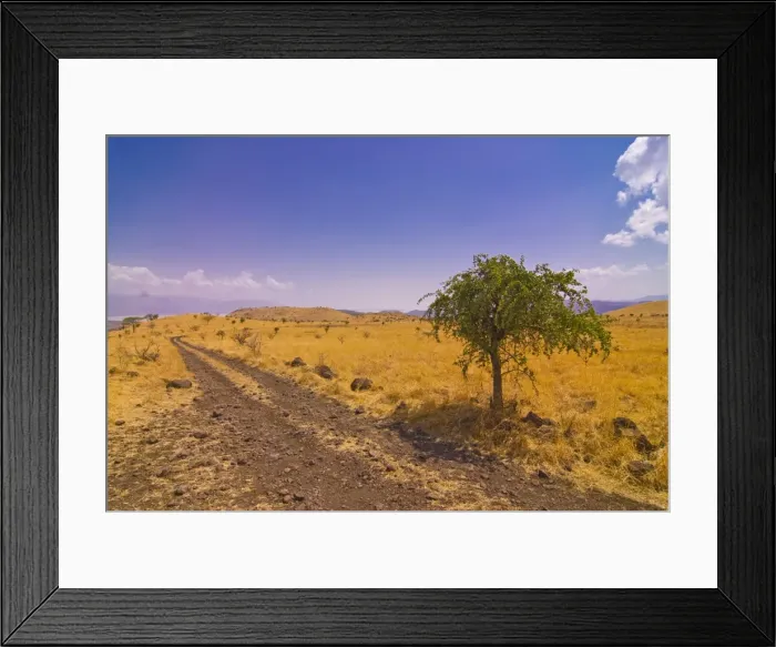 Framed Print : Road leading in the Nechisar National Park, Ethiopia, Africa Framed Print : Road leading in the Nechisar National Park, Ethiopia, Africa