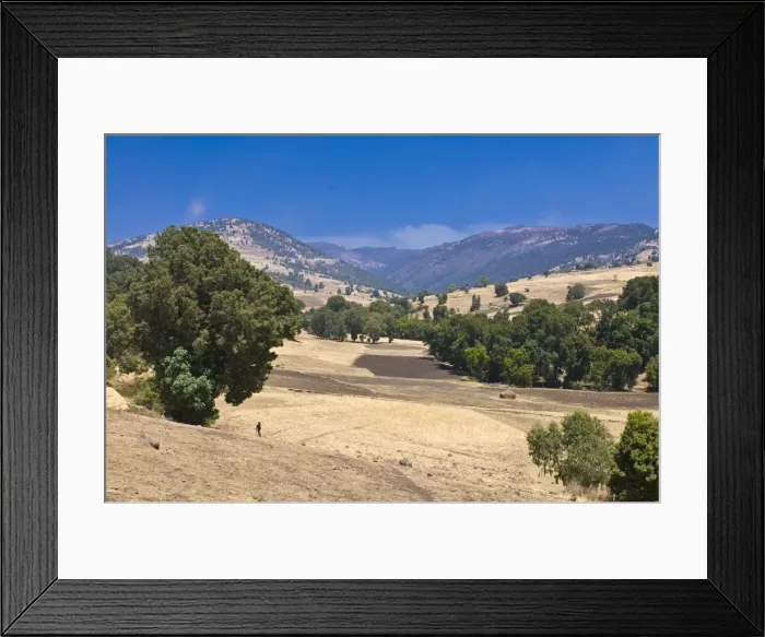 Framed Print : Bale mountains, Ethiopia, Africa Framed Print : Bale mountains, Ethiopia, Africa