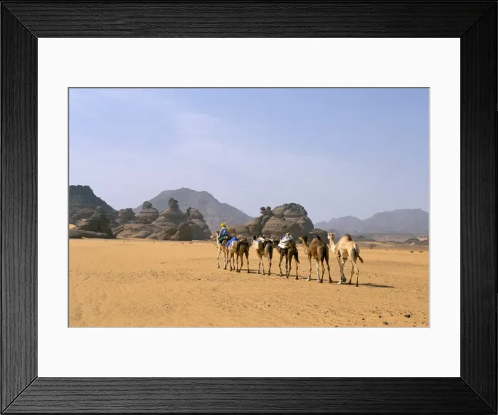Framed Print : Camel caravan, Akakus, Sahara desert, Fezzan, Libya, North Africa, Africa Framed Print : Camel caravan, Akakus, Sahara desert, Fezzan, Libya, North Africa, Africa