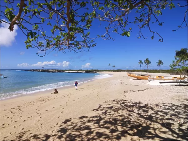 Beautiful sandy beach and palms at Ngazidja, Grand Comore, Comoros, Indian Ocean, Africa