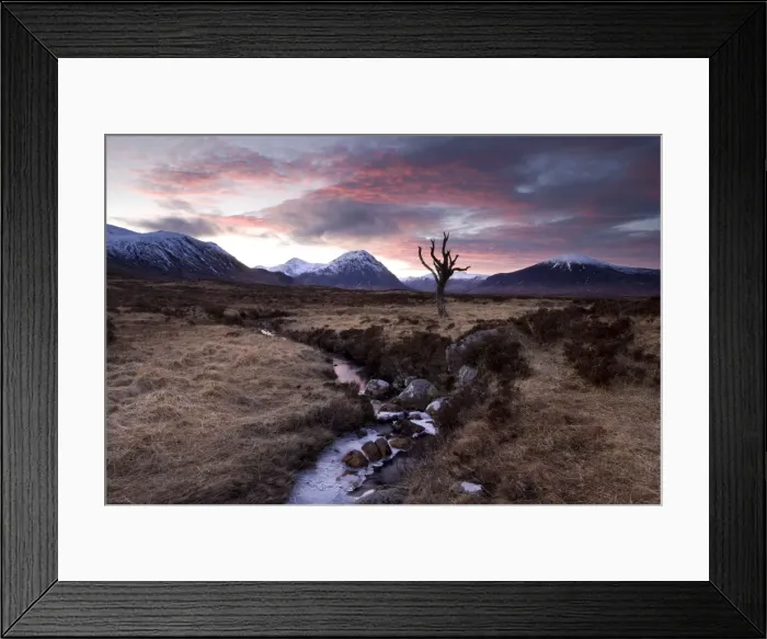 Framed Print : Winter view of Rannoch Moor at sunset with dead tree, frozen stream and snow-covered mountains in the distance, near Fort William, Highland, Scotland, United Framed Print : Winter view of Rannoch Moor at sunset with dead tree, frozen stream and snow-covered mountains in the distance, near Fort William, Highland, Scotland, United