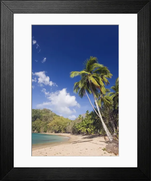 Framed Print : Palm tree fringed beach, Englishmans Bay, Tobago, Trinidad and Tobago, West Indies Framed Print : Palm tree fringed beach, Englishmans Bay, Tobago, Trinidad and Tobago, West Indies