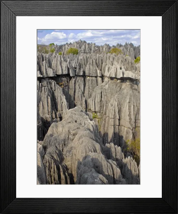 Framed Print : Coral formations, Tsingy de Bemaraha, UNESCO World Heritage Site, Madagascar, Africa Framed Print : Coral formations, Tsingy de Bemaraha, UNESCO World Heritage Site, Madagascar, Africa