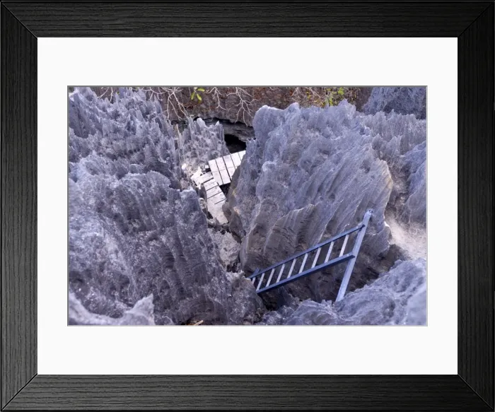 Framed Print : Coral formations, Tsingy de Bemaraha, UNESCO World Heritage Site, Madagascar, Africa Framed Print : Coral formations, Tsingy de Bemaraha, UNESCO World Heritage Site, Madagascar, Africa