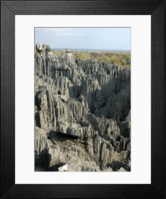 Framed Print : Coral formations, Tsingy de Bemaraha, UNESCO World Heritage Site, Madagascar, Africa
